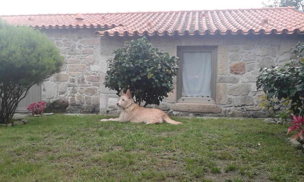 Casa Maria Da Assuncao Villa วีลาโนวา เด เซอร์เวย์รา ห้อง รูปภาพ